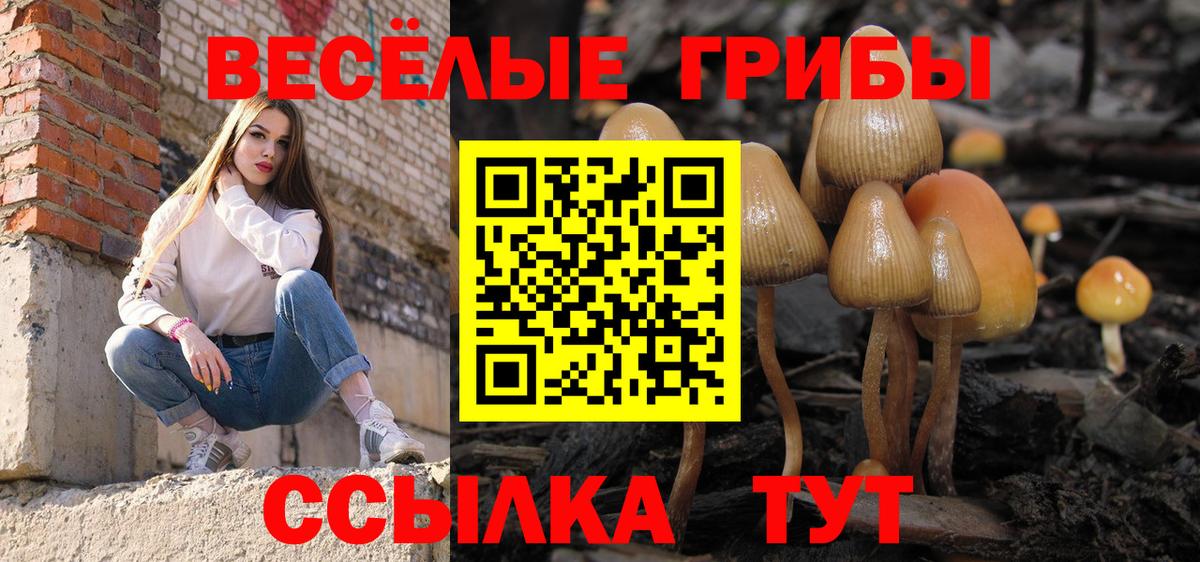 Галлюциногенные грибы прущие грибы Богородск